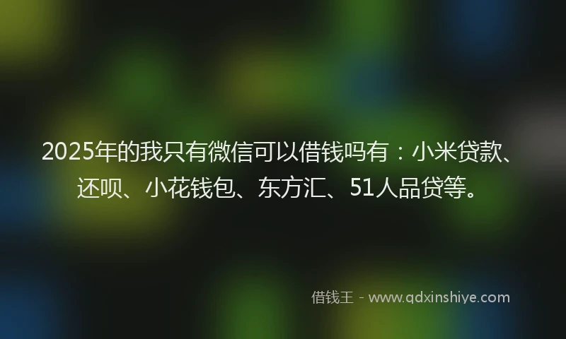 2025年的我只有微信可以借钱吗有：小米贷款、还呗、小花钱包、东方汇、51人品贷等。