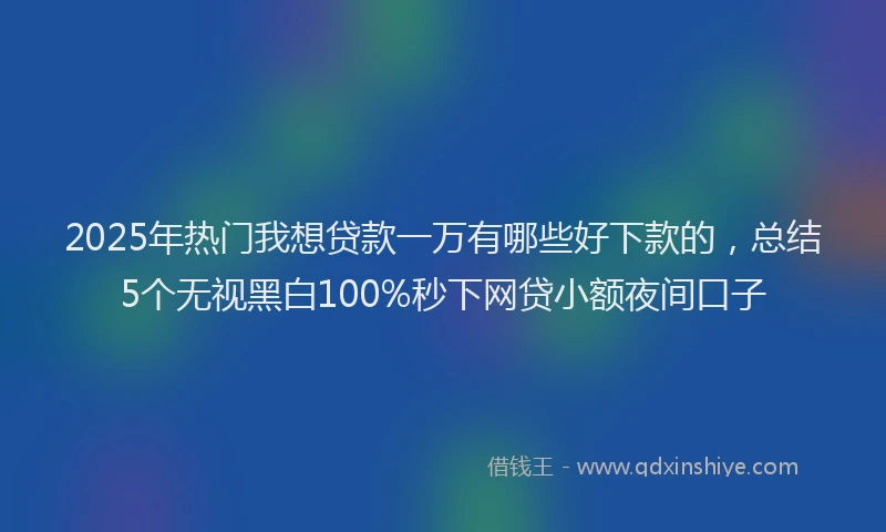 2025年热门我想贷款一万有哪些好下款的，总结5个无视黑白100%秒下网贷小额夜间口子