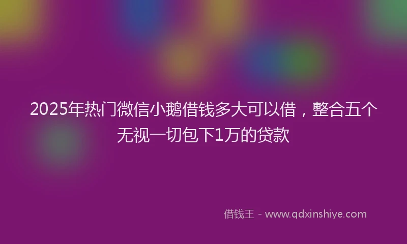2025年热门微信小鹅借钱多大可以借，整合五个无视一切包下1万的贷款