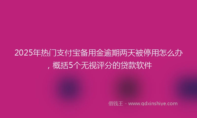 2025年热门支付宝备用金逾期两天被停用怎么办，概括5个无视评分的贷款软件