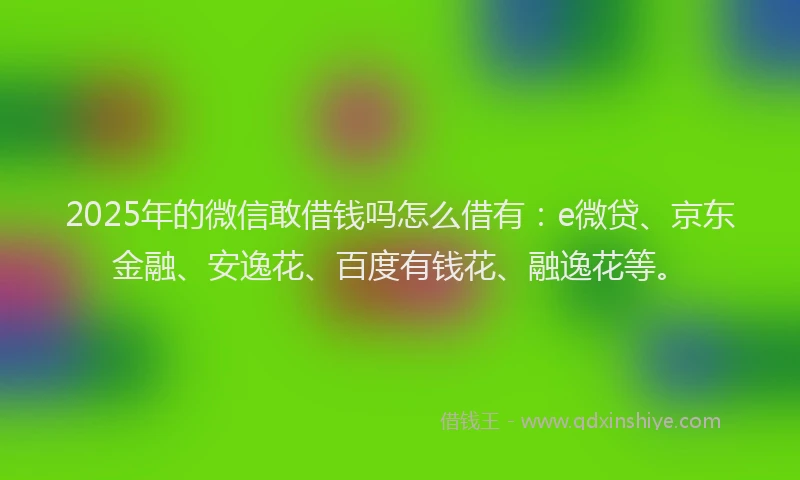 2025年的微信敢借钱吗怎么借有：e微贷、京东金融、安逸花、百度有钱花、融逸花等。