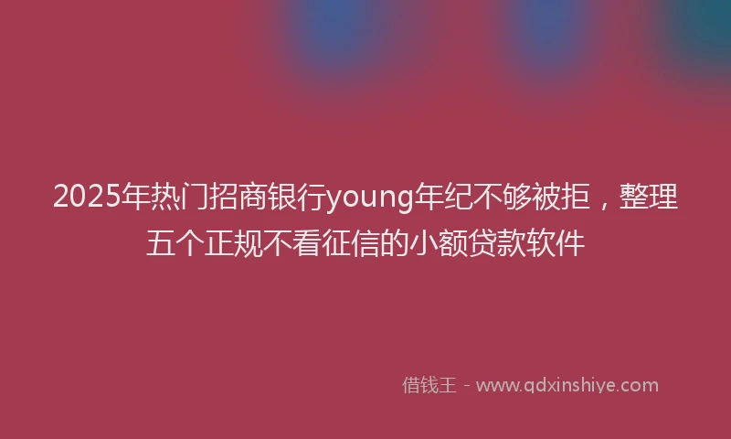 2025年热门招商银行young年纪不够被拒，整理五个正规不看征信的小额贷款软件