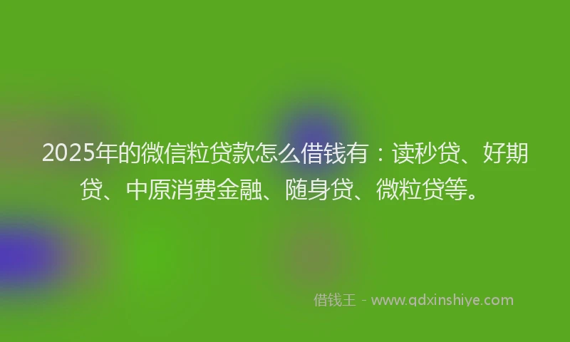 2025年的微信粒贷款怎么借钱有：读秒贷、好期贷、中原消费金融、随身贷、微粒贷等。