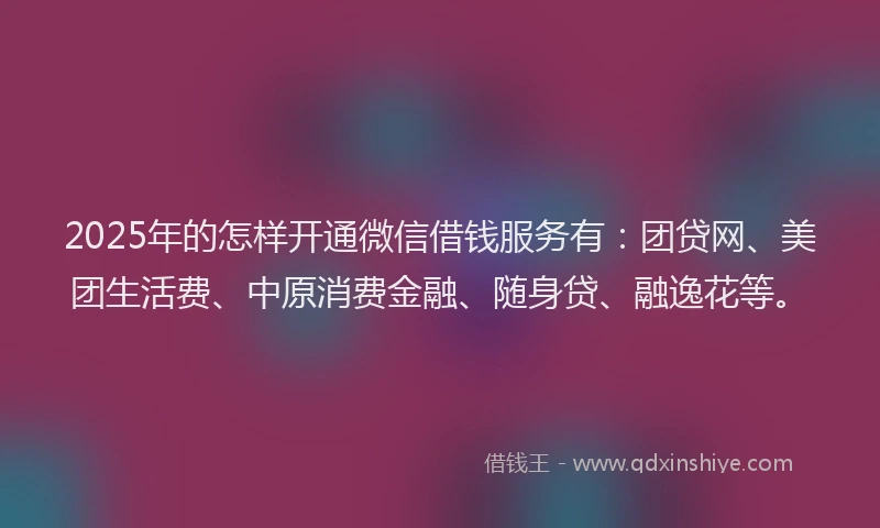 2025年的怎样开通微信借钱服务有：团贷网、美团生活费、中原消费金融、随身贷、融逸花等。