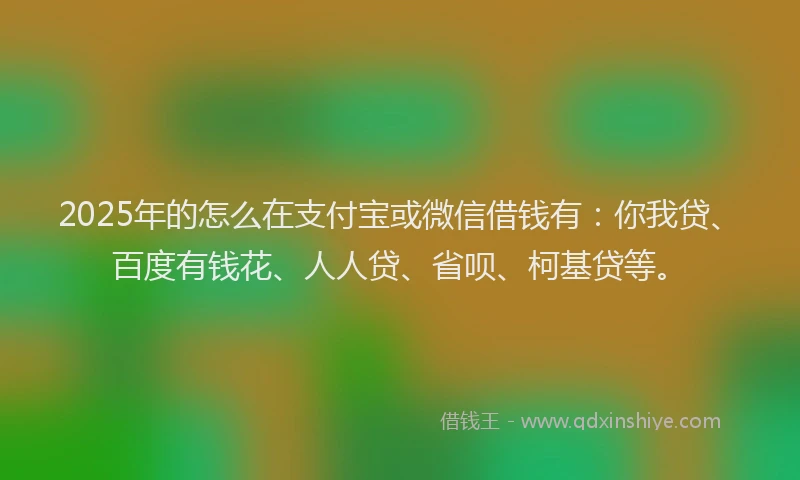 2025年的怎么在支付宝或微信借钱有：你我贷、百度有钱花、人人贷、省呗、柯基贷等。