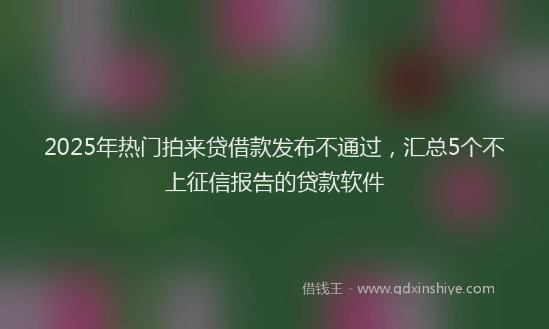 2025年热门拍来贷借款发布不通过，汇总5个不上征信报告的贷款软件
