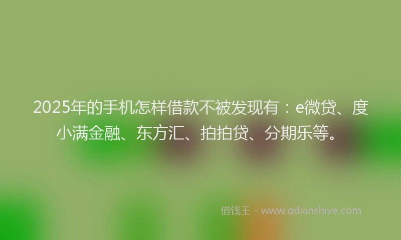 2025年的手机怎样借款不被发现有：e微贷、度小满金融、东方汇、拍拍贷、分期乐等。