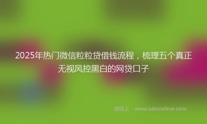 2025年热门微信粒粒贷借钱流程，梳理五个真正无视风控黑白的网贷口子