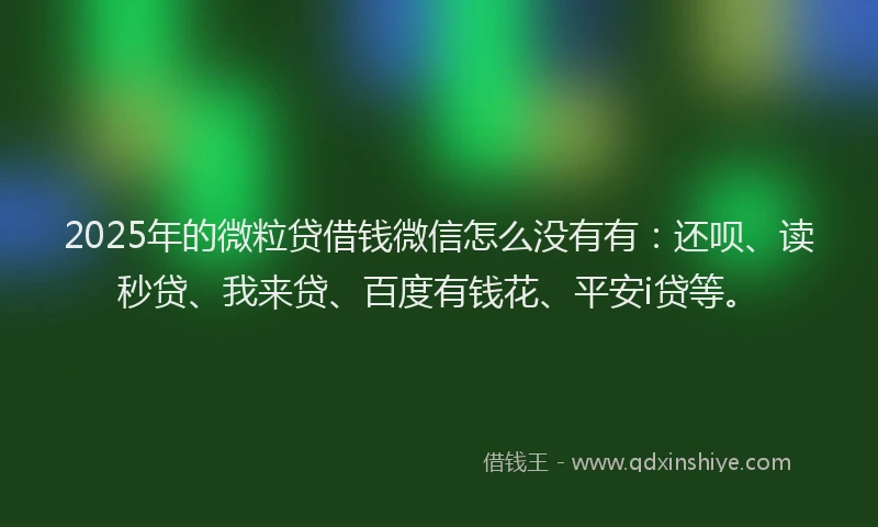 2025年的微粒贷借钱微信怎么没有有：还呗、读秒贷、我来贷、百度有钱花、平安i贷等。