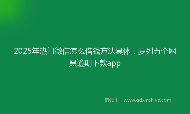 2025年热门微信怎么借钱方法具体，罗列五个网黑逾期下款app