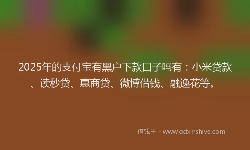 2025年的支付宝有黑户下款口子吗有：小米贷款、读秒贷、惠商贷、微博借钱、融逸花等。
