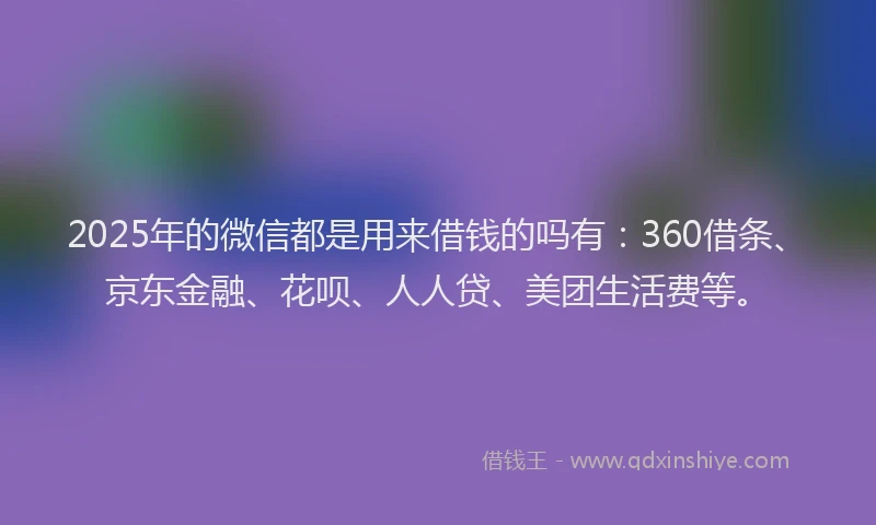 2025年的微信都是用来借钱的吗有：360借条、京东金融、花呗、人人贷、美团生活费等。