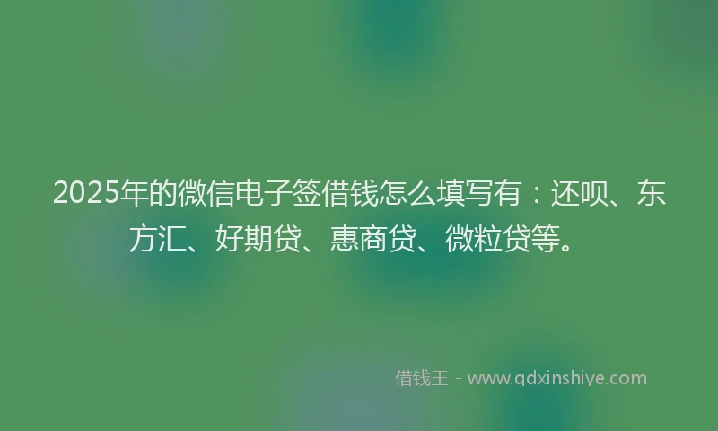 2025年的微信电子签借钱怎么填写有：还呗、东方汇、好期贷、惠商贷、微粒贷等。