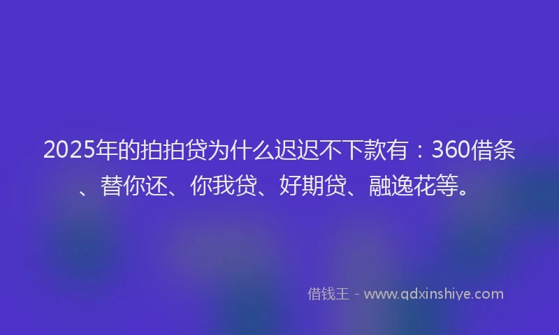 2025年的拍拍贷为什么迟迟不下款有：360借条、替你还、你我贷、好期贷、融逸花等。