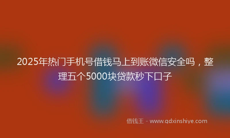 2025年热门手机号借钱马上到账微信安全吗，整理五个5000块贷款秒下口子