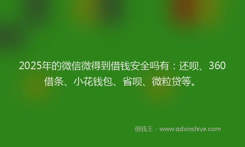 2025年的微信微得到借钱安全吗有：还呗、360借条、小花钱包、省呗、微粒贷等。