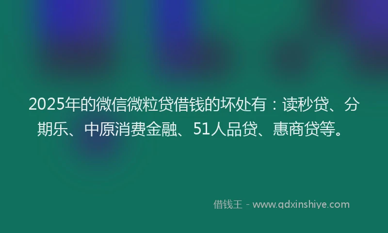 2025年的微信微粒贷借钱的坏处有：读秒贷、分期乐、中原消费金融、51人品贷、惠商贷等。