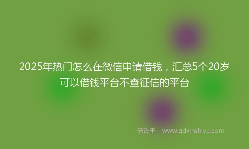 2025年热门怎么在微信申请借钱，汇总5个20岁可以借钱平台不查征信的平台