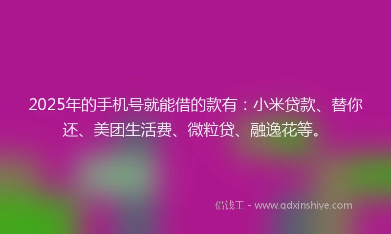 2025年的手机号就能借的款有：小米贷款、替你还、美团生活费、微粒贷、融逸花等。
