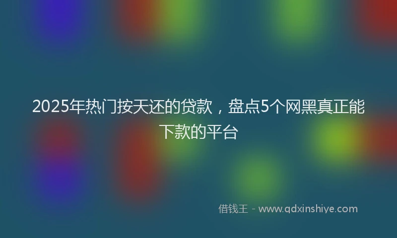 2025年热门按天还的贷款，盘点5个网黑真正能下款的平台