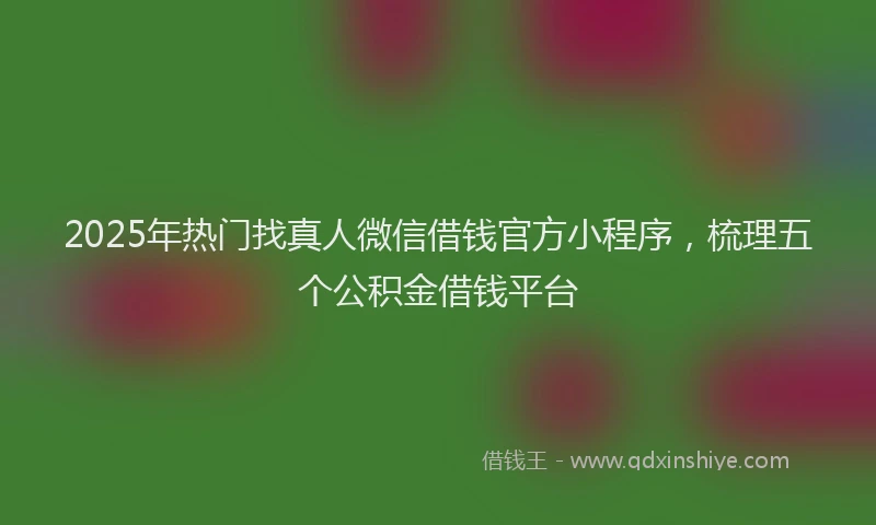 2025年热门找真人微信借钱官方小程序，梳理五个公积金借钱平台