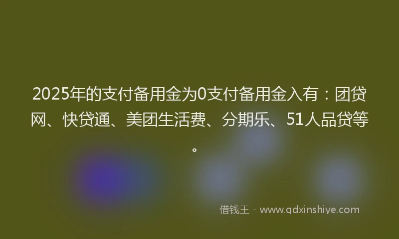 2025年的支付备用金为0支付备用金入有：团贷网、快贷通、美团生活费、分期乐、51人品贷等。