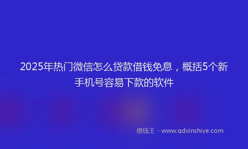 2025年热门微信怎么贷款借钱免息，概括5个新手机号容易下款的软件