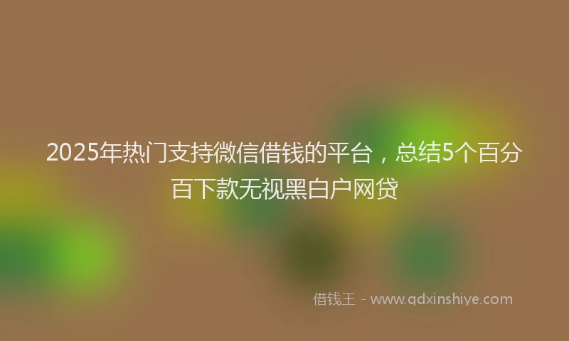 2025年热门支持微信借钱的平台，总结5个百分百下款无视黑白户网贷