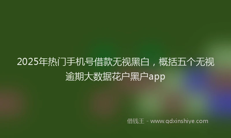 2025年热门手机号借款无视黑白，概括五个无视逾期大数据花户黑户app