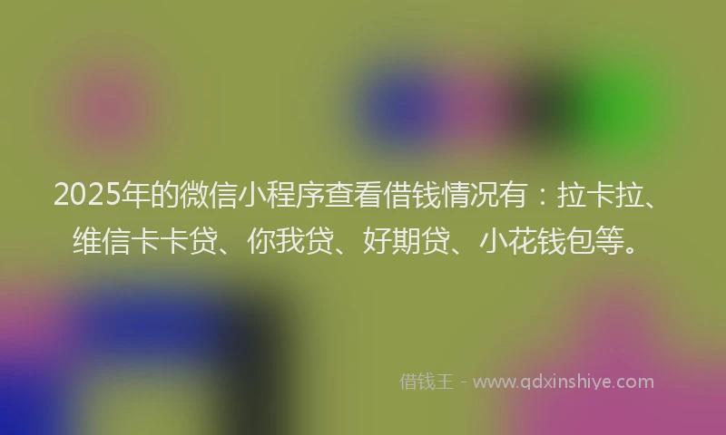 2025年的微信小程序查看借钱情况有：拉卡拉、维信卡卡贷、你我贷、好期贷、小花钱包等。