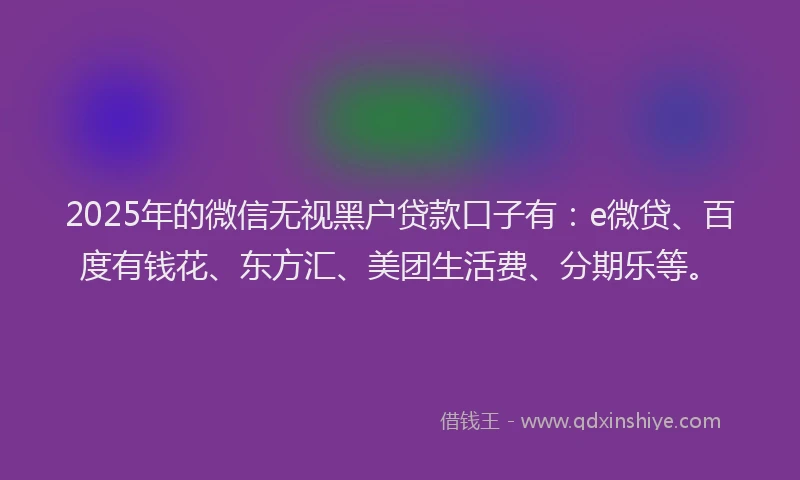 2025年的微信无视黑户贷款口子有：e微贷、百度有钱花、东方汇、美团生活费、分期乐等。