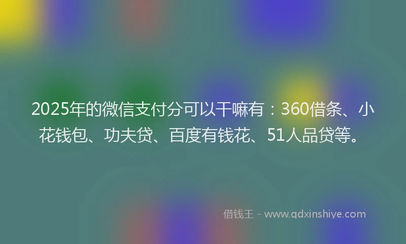 2025年的微信支付分可以干嘛有：360借条、小花钱包、功夫贷、百度有钱花、51人品贷等。