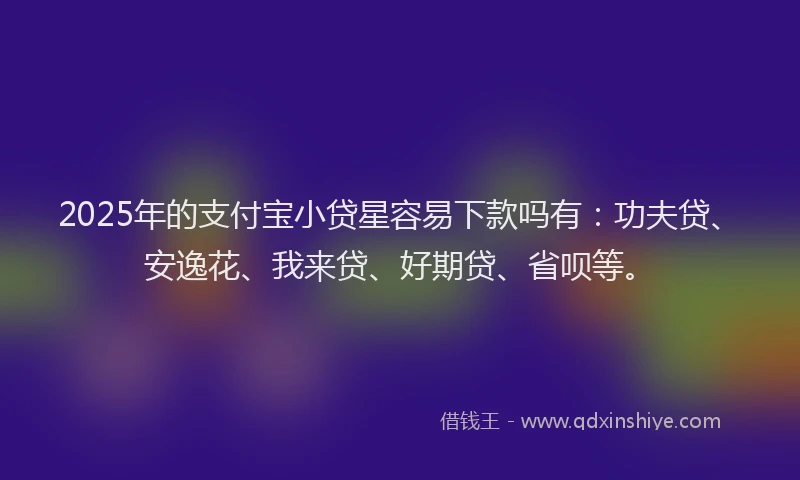 2025年的支付宝小贷星容易下款吗有：功夫贷、安逸花、我来贷、好期贷、省呗等。