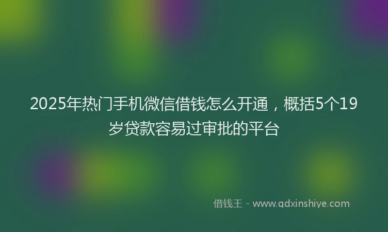 2025年热门手机微信借钱怎么开通，概括5个19岁贷款容易过审批的平台