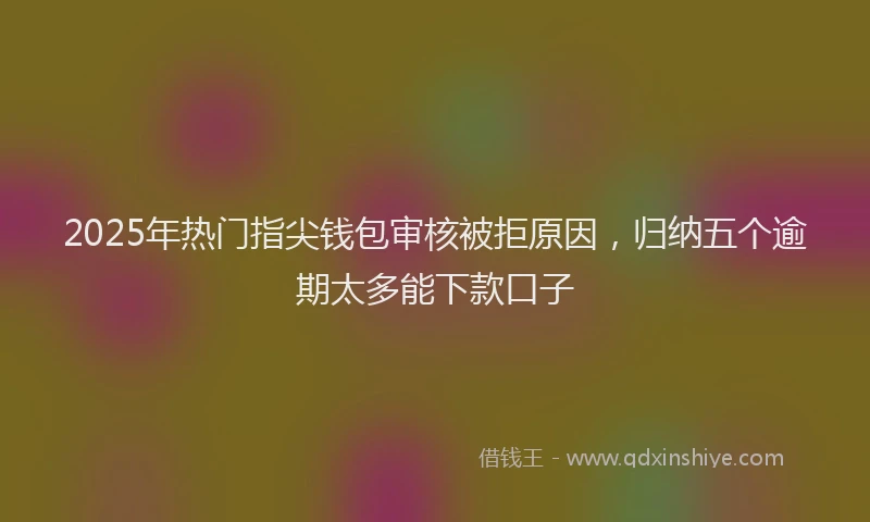 2025年热门指尖钱包审核被拒原因，归纳五个逾期太多能下款口子