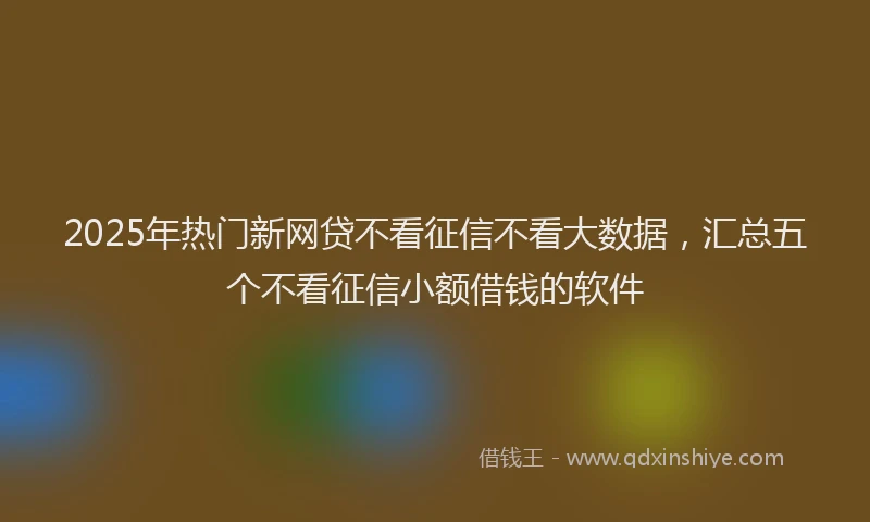 2025年热门新网贷不看征信不看大数据，汇总五个不看征信小额借钱的软件