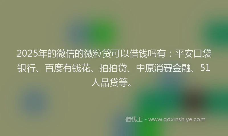 2025年的微信的微粒贷可以借钱吗有：平安口袋银行、百度有钱花、拍拍贷、中原消费金融、51人品贷等。