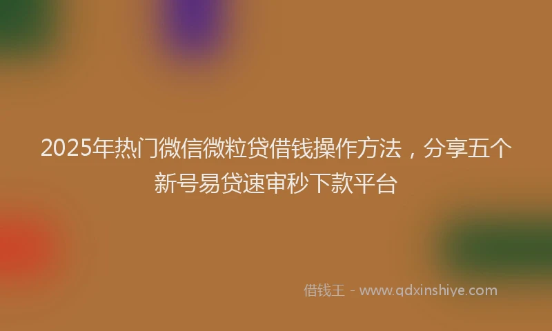 2025年热门微信微粒贷借钱操作方法，分享五个新号易贷速审秒下款平台