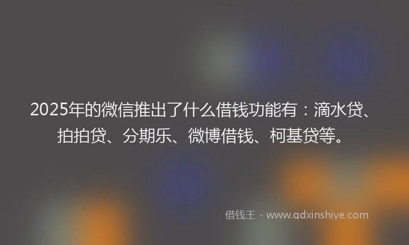 2025年的微信推出了什么借钱功能有：滴水贷、拍拍贷、分期乐、微博借钱、柯基贷等。