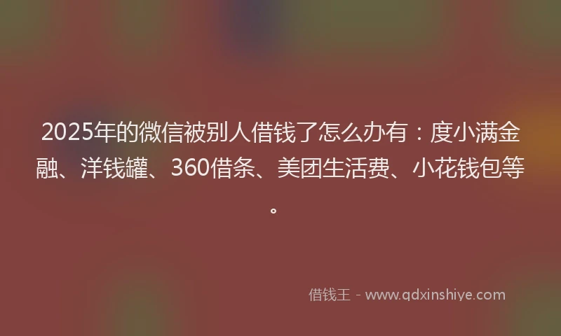 2025年的微信被别人借钱了怎么办有：度小满金融、洋钱罐、360借条、美团生活费、小花钱包等。