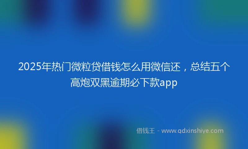 2025年热门微粒贷借钱怎么用微信还，总结五个高炮双黑逾期必下款app