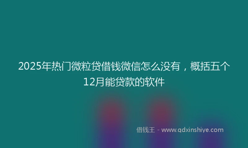 2025年热门微粒贷借钱微信怎么没有，概括五个12月能贷款的软件