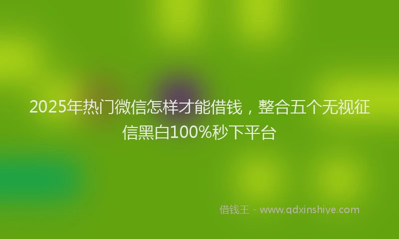 2025年热门微信怎样才能借钱，整合五个无视征信黑白100%秒下平台