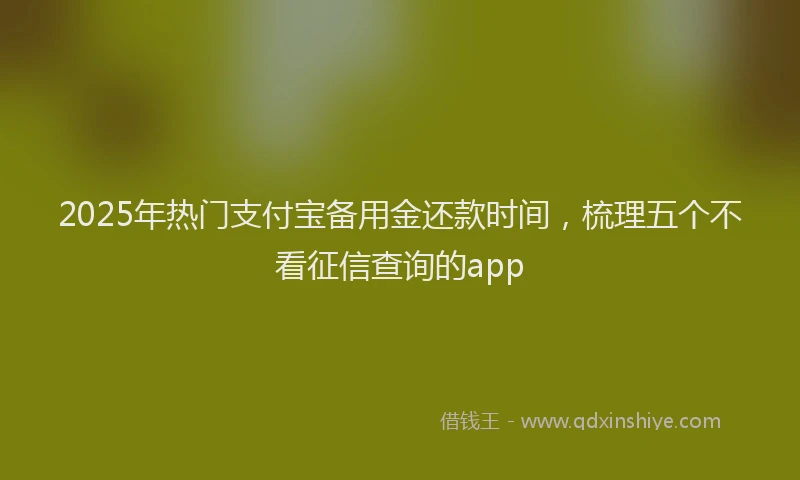 2025年热门支付宝备用金还款时间，梳理五个不看征信查询的app
