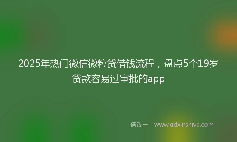 2025年热门微信微粒贷借钱流程，盘点5个19岁贷款容易过审批的app