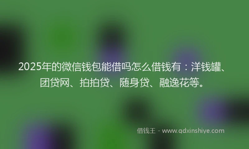 2025年的微信钱包能借吗怎么借钱有：洋钱罐、团贷网、拍拍贷、随身贷、融逸花等。