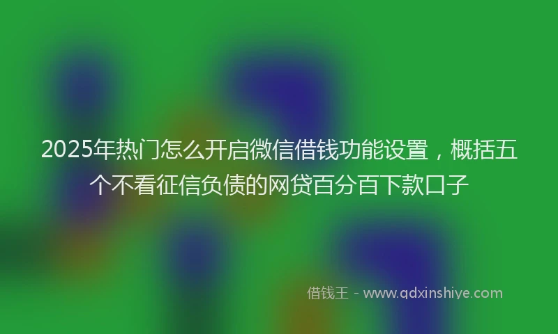 2025年热门怎么开启微信借钱功能设置，概括五个不看征信负债的网贷百分百下款口子