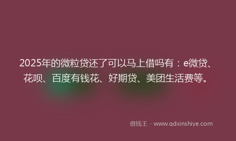 2025年的微粒贷还了可以马上借吗有：e微贷、花呗、百度有钱花、好期贷、美团生活费等。