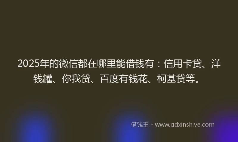 2025年的微信都在哪里能借钱有：信用卡贷、洋钱罐、你我贷、百度有钱花、柯基贷等。