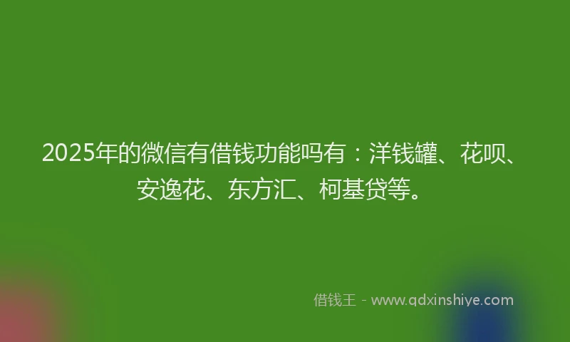 2025年的微信有借钱功能吗有：洋钱罐、花呗、安逸花、东方汇、柯基贷等。